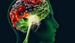 چه رابطه‌ای میان ارتباطات مغزی و عملکرد شناختی با مواد مغذّی وجود دارد؟